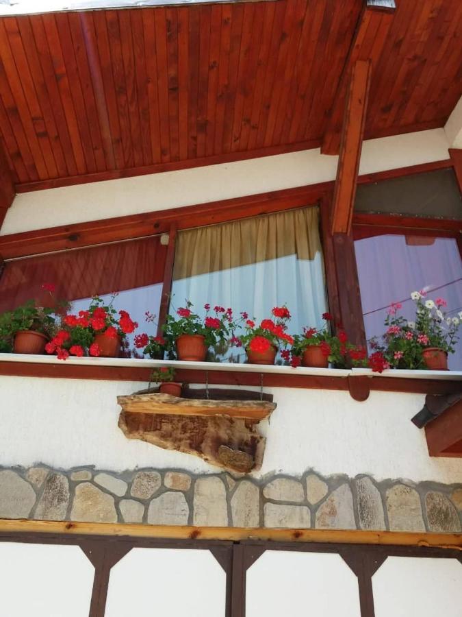 Къща За Гости Орфей Smolyan Bagian luar foto